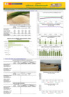 Vista preliminar de documento Boletín de abastecimiento y precio del ARROZ - 15/12/20