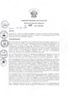 Vista preliminar de documento RER_650_2017.pdf