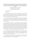 Vista preliminar de documento 2010