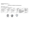 Vista preliminar de documento Anexo RS 072-2020-SIS-SG.pdf