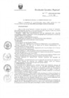 Vista preliminar de documento R.E.R. Nro 411-2020-GR-GR PUNO.pdf
