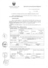 Vista preliminar de documento R.G.G.R. Nro. 184-2020-GGR-GR PUNO.pdf