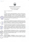 Vista preliminar de documento RER_601_2017.pdf