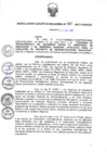 Vista preliminar de documento RER_587_2017.pdf