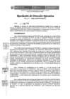 Vista preliminar de documento DIR-001-2020-JUS-PRONACEJ.pdf