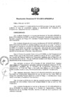 Vista preliminar de documento N°010-2010-APN-DIPLA.pdf