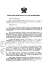 Vista preliminar de documento N°017-2010-APN-DIPLA.pdf