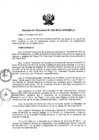 Vista preliminar de documento N°020-2010-APN-DIPLA.pdf