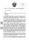 Vista preliminar de documento R.D. N° 509 - RAEE 