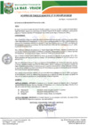Vista preliminar de documento AC-52-2020.pdf