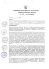 Vista preliminar de documento RER_542_2017.pdf