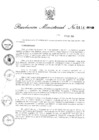 Vista preliminar de documento 2011