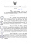 Vista preliminar de documento RER_500_2017.pdf