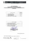 Vista preliminar de documento ActaPreliminar162