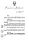 Vista preliminar de documento RJ 115 2020.pdf