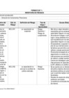 Vista preliminar de documento Anexo N° 02 – Identificación de Riesgos (1).pdf