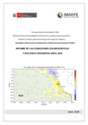Vista preliminar de documento imarpe_informe_gti_abril_2020