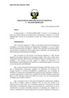 Vista preliminar de documento res_DEC_042_2020