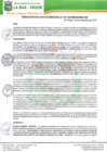 Vista preliminar de documento RGM-241-2020.pdf