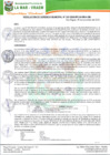 Vista preliminar de documento RGM-247-2020.pdf