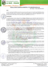 Vista preliminar de documento RGM-274-2020.pdf