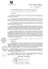 Vista preliminar de documento R.E.R. Nro 431-2020-GR-GR PUNO.pdf