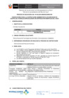 Vista preliminar de documento Convocatoria-2016-CAS-036