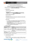 Vista preliminar de documento Convocatoria-2016-CAS-037