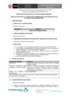 Vista preliminar de documento Convocatoria-2016-CAS-038