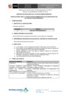 Vista preliminar de documento Convocatoria-2016-CAS-039