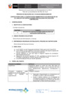 Vista preliminar de documento Convocatoria-2016-CAS-040