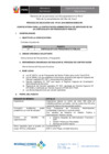 Vista preliminar de documento Convocatoria-2016-CAS-041