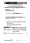 Vista preliminar de documento Convocatoria-2016-CAS-045
