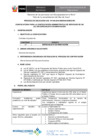 Vista preliminar de documento Convocatoria-2016-CAS-048