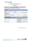 Vista preliminar de documento  Comunicado 233_2.pdf 