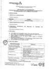 Vista preliminar de documento Convocatoria CAS 233.pdf