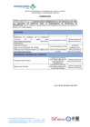 Vista preliminar de documento  Comunicado 230.pdf