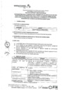 Vista preliminar de documento Convocatoria CAS 221_.pdf