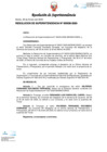 Vista preliminar de documento RS_36_2020_Migraciones