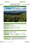 Vista preliminar de documento FT-MDD-02_Bosque_de_Colina_Baja_-_Boca_PariamanuFFFF
