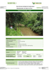 Vista preliminar de documento FT-MDD-03_Bosque_de_Colina_Baja_-_NoayaFFFF