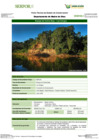 Vista preliminar de documento FT-MDD-06_Bosque_de_Colina_Baja_-_Los_AmigosFFFF
