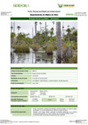 Vista preliminar de documento FT-MDD-07_Bosque_Aluvial_Inundable_YacumamaFFFF
