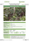 Vista preliminar de documento FT-MDD-10_Bosque_de_Colina_Baja_-_AguajalitoFFFF