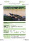 Vista preliminar de documento FT-MDD-08_Bosque_Aluvial_Inundable_-_InotawaFFFF