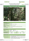 Vista preliminar de documento FT-MDD-14_Bosque_de_Terraza_no_Inundable_-_BlancoFFFF