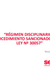Vista preliminar de documento Proceso Administrativo Disciplinario.pdf