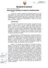 Vista preliminar de documento RG_29_2019_Migraciones