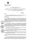 Vista preliminar de documento RDE Nº 06_2020_Designación de responsables suplentes del manejo de las cuentas bancarias.pdf