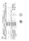 Vista preliminar de documento anexo_r_g_g__n____126_2019_fondepes_gg_20190723_084738